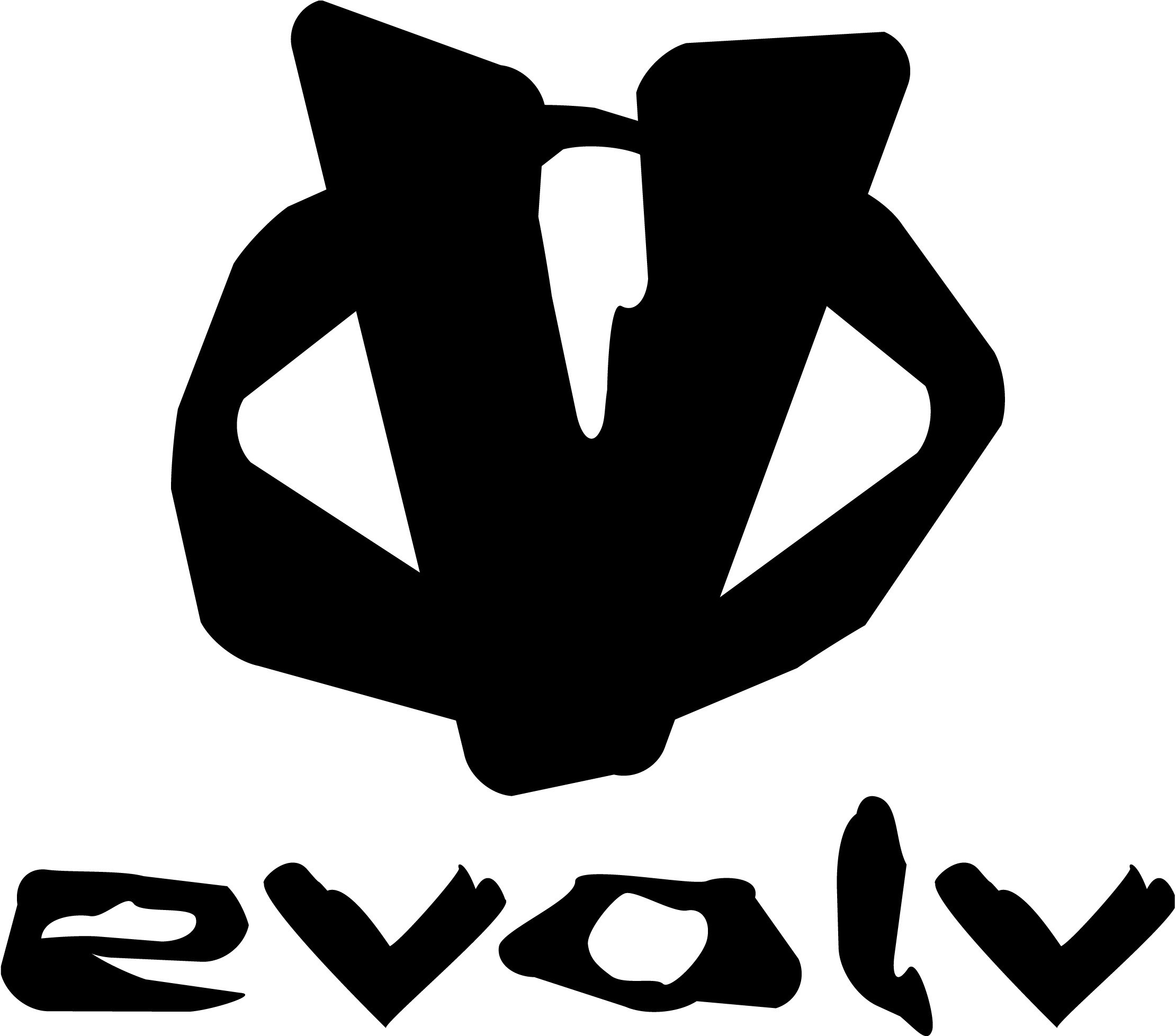evolv logo